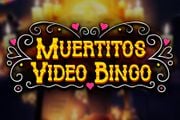Muertitos Video Bingo