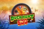 Duck Hunt 500