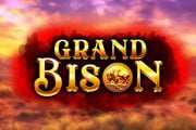 Grand Bison