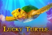 Lucky Turtle
