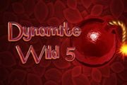 Dynamite Wild 5